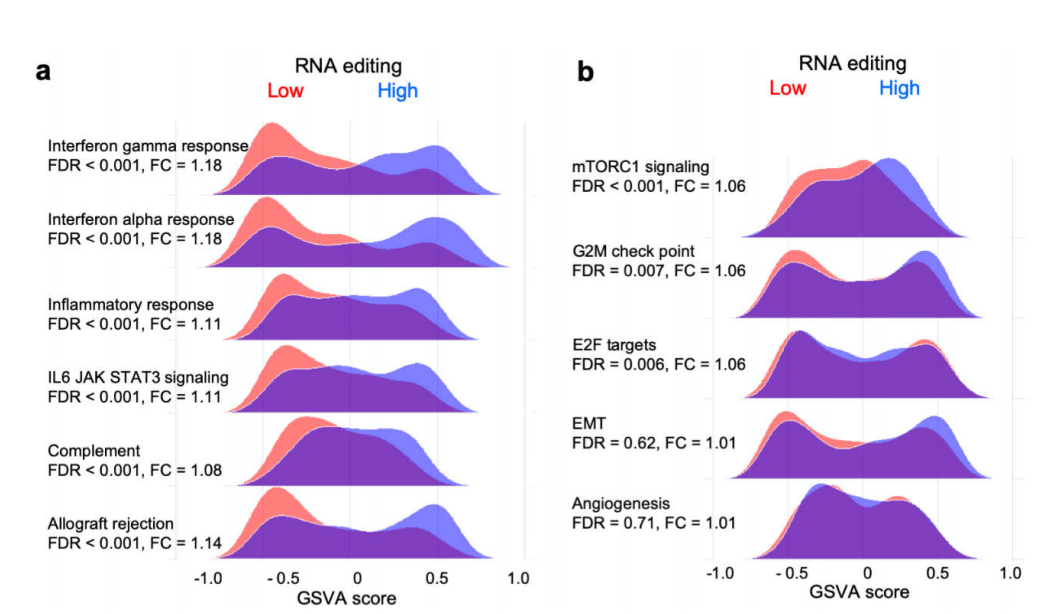 如何做肿瘤免疫微环境的研究？这篇文章会告诉你！